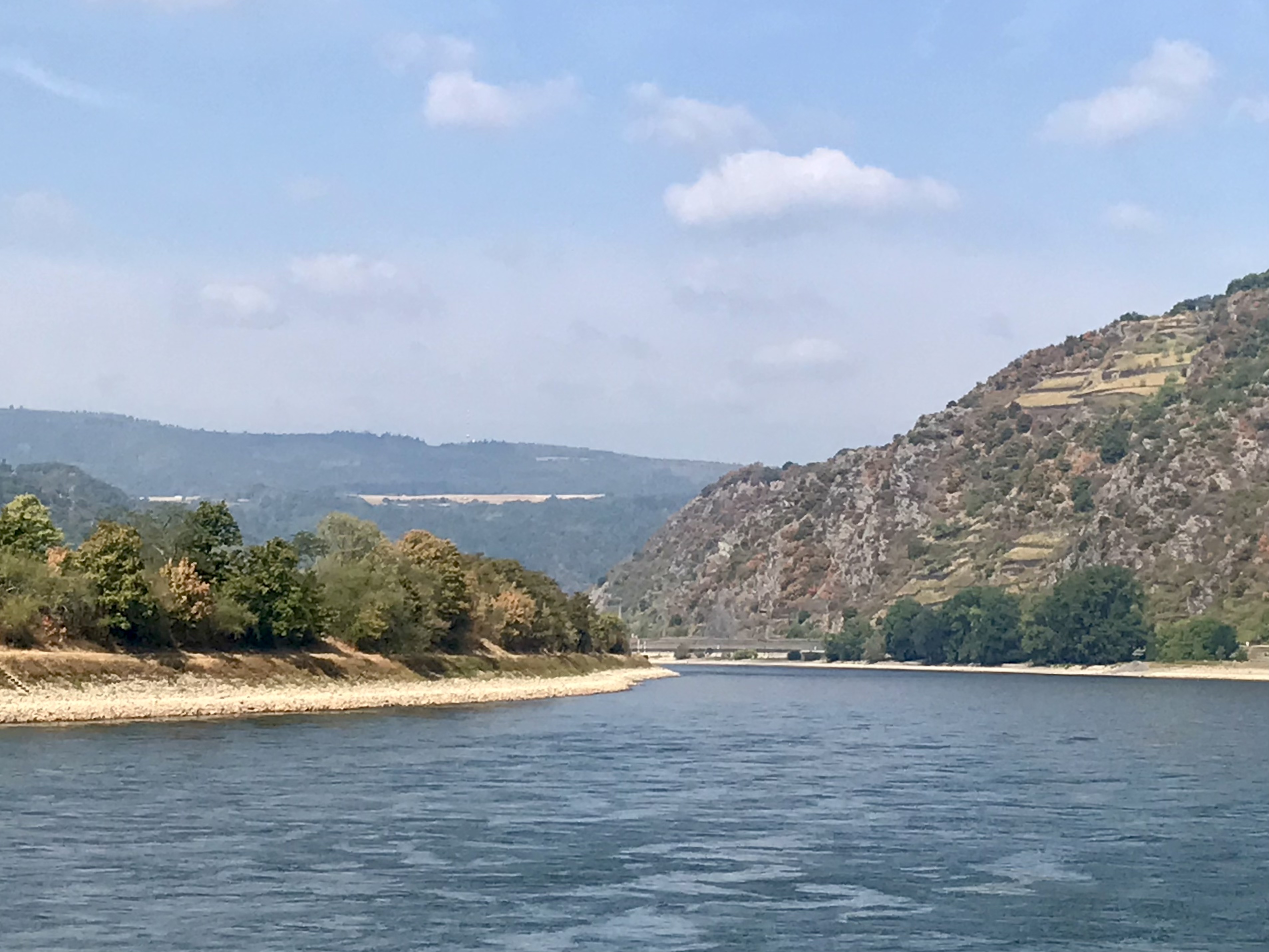 River Rhine Boat Trip