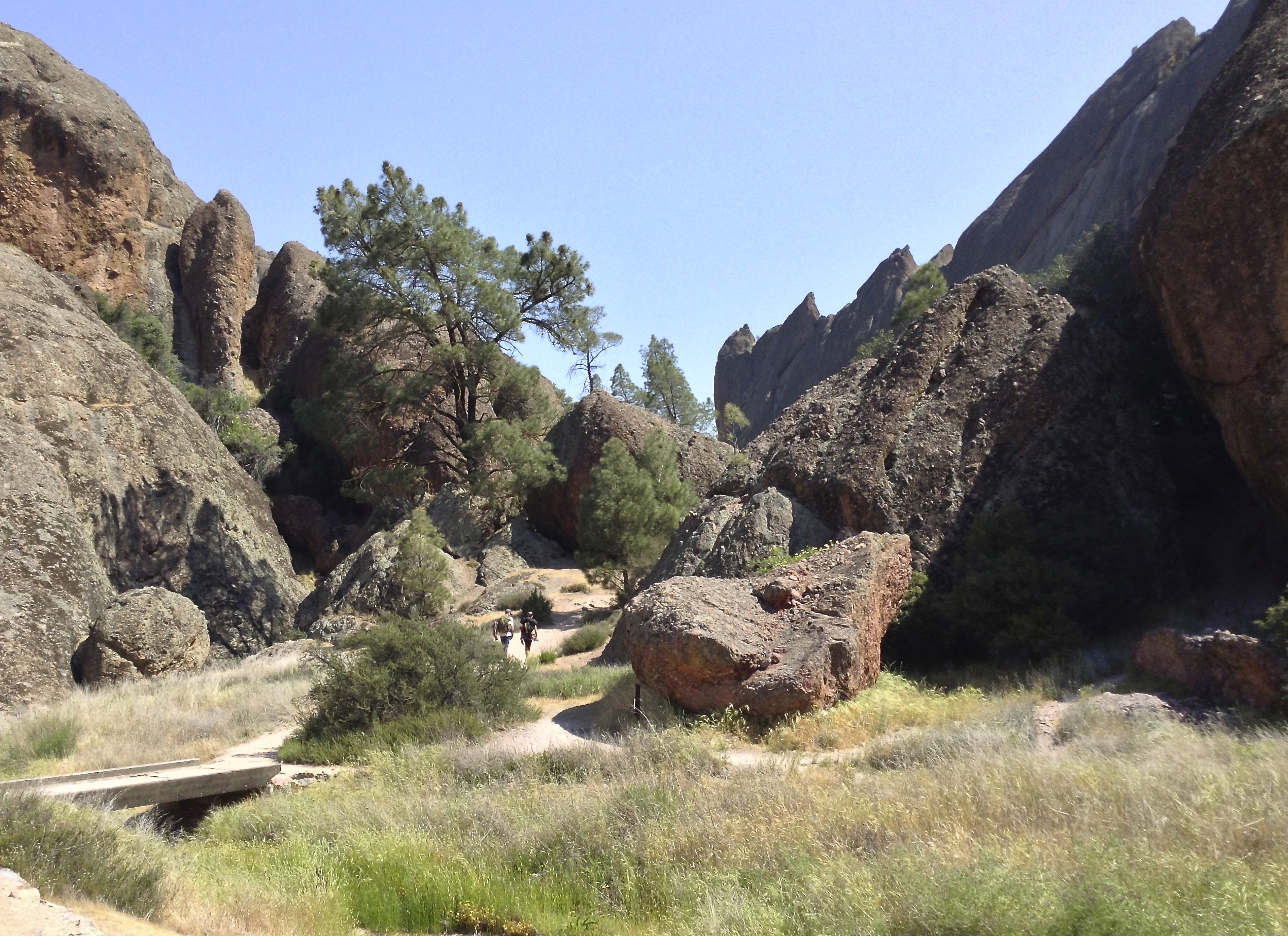 This image shows a view in Pinnacles National Park. The picture is of a narrow dry river valley, passing through a rocky terrain. The bottom of the dry valley is covered in browned grass and in the distance a number of parched dark green trees can be seen. The top part of the picture is filled with a 'V' of light blue sky. 