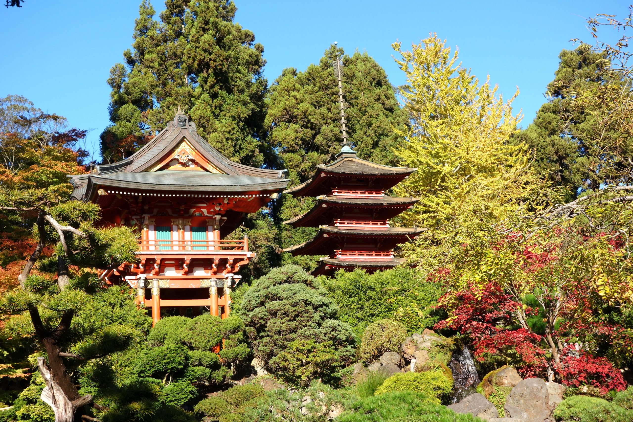 This image shows a pair of wooden tea houses located within the Japanese Tea Garden. Golden Gate Park, San Francisco, California. The tea houses, which are typically Japanese in style, with tiered pagoda roofing, sit in a landscaped rock garden filled with the autumnal colours of the surrounding shrubs and trees. All of this is set against a light blue sky.  