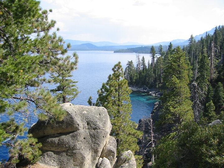 This image shows a view of Lake Tahoe. The lake is seen from a high vantage point, photographed through a framework of coniferous trees. In the immediate foreground there is a large boulder and beyond that the lake waters are quiet, and a shiny light blue in colour. The lake looks to be vast in size.  On the distant horizon there is a line of mountains disappearing into the whitish sky above.
